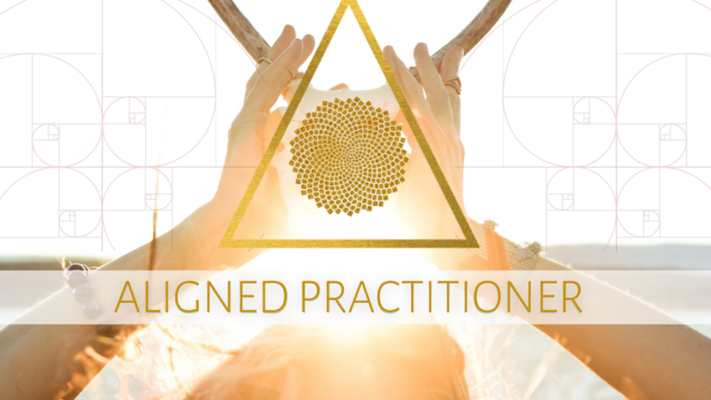 business coaching for healers
