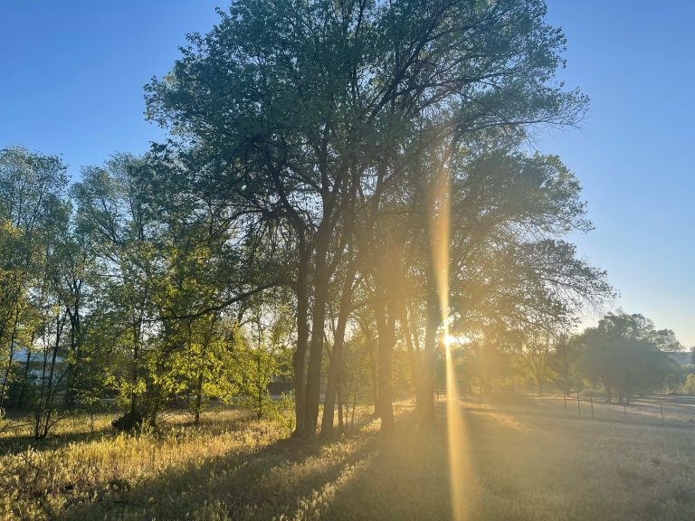 Santa Fe Healing Retreat